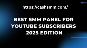 Youtube subscriber