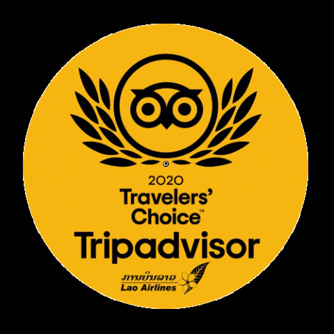 Tripadvisor Reviews