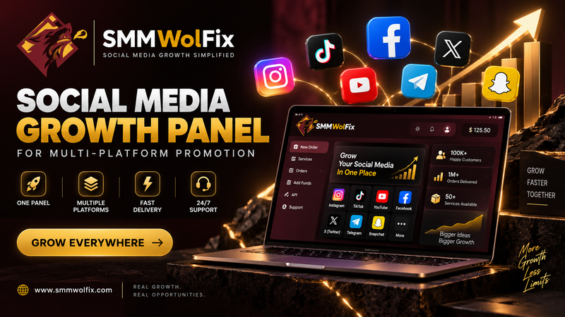 Social Media Growth Panel: Manage Multi-Platform Promotion in One Place