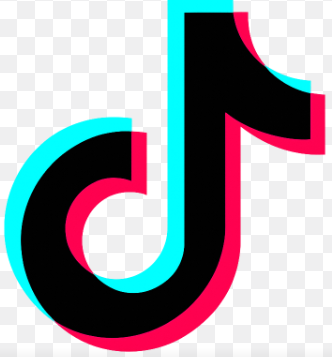 TikTok Ads Views