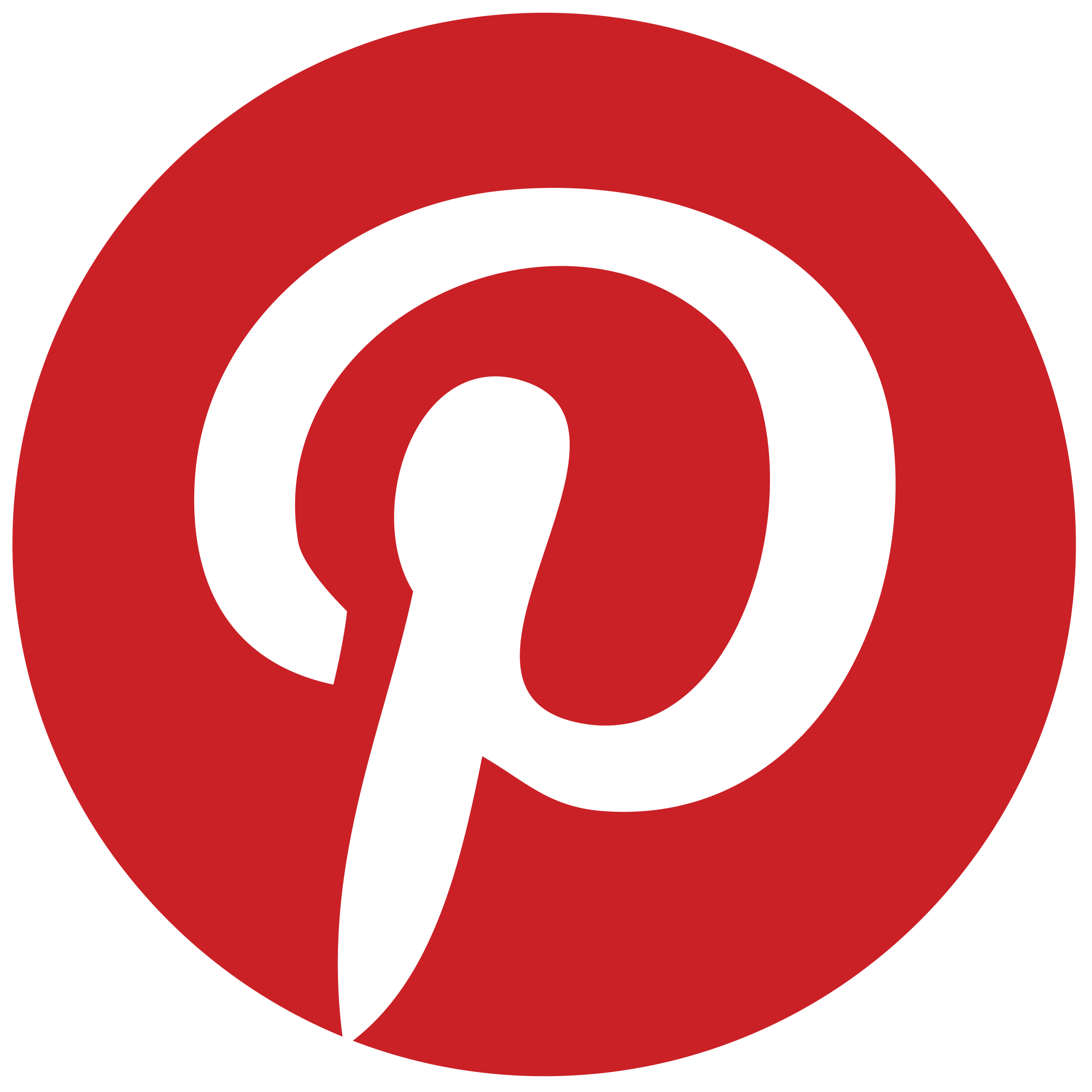 (Novidade) Pinterest - Seguidores