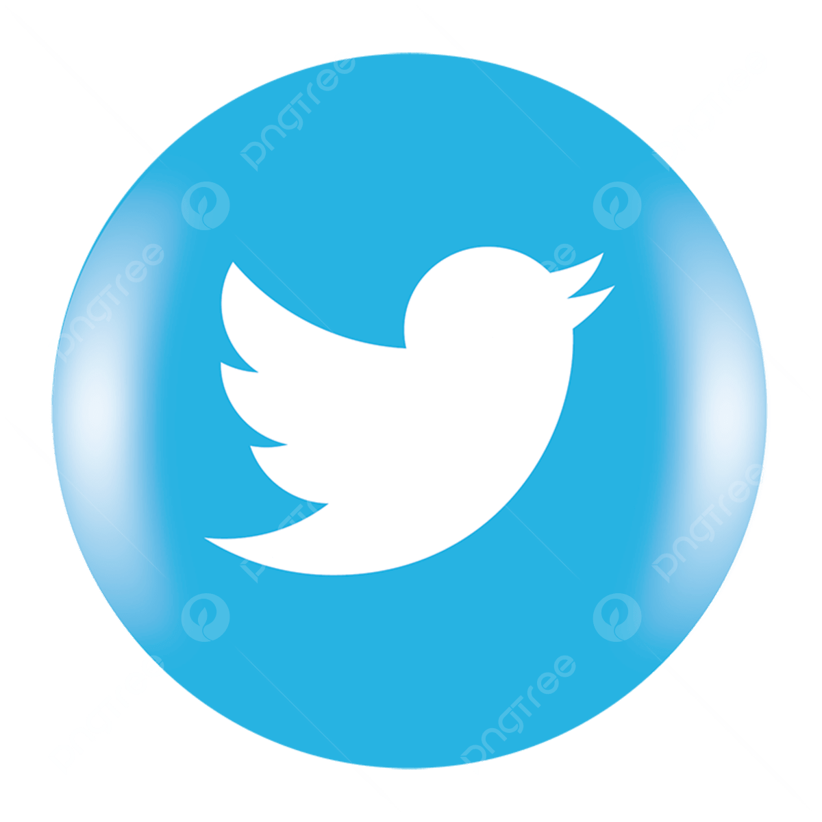 TWITTER - Seguidores