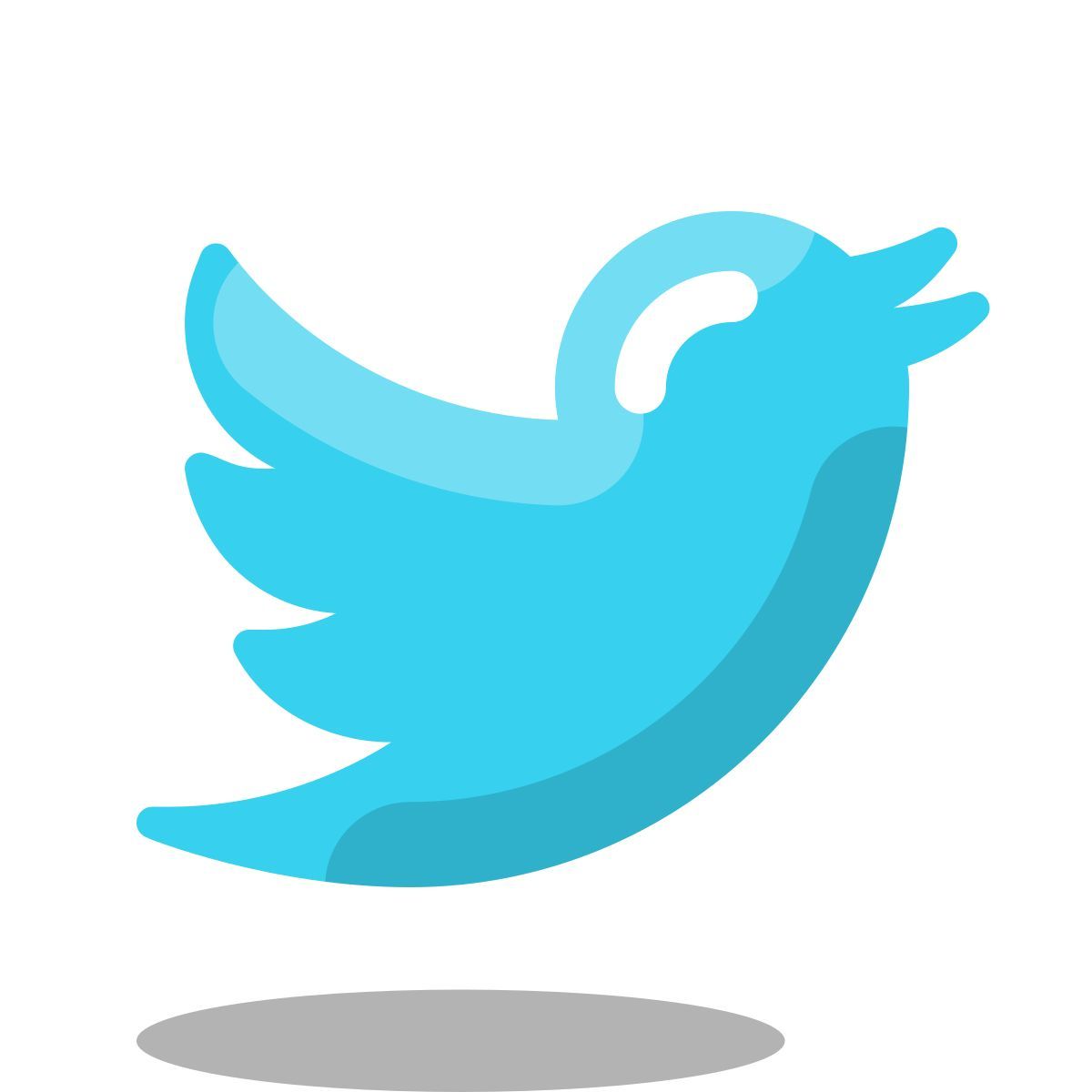 TWITTER - Seguidores