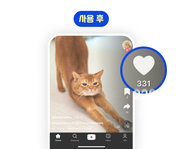 sns밈