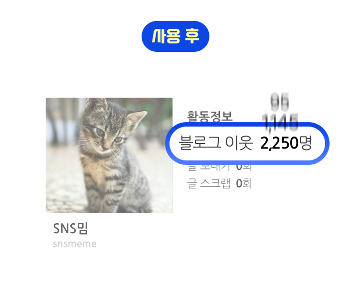sns밈
