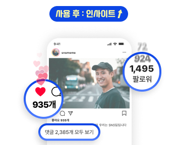 sns밈