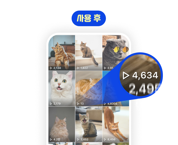 sns밈