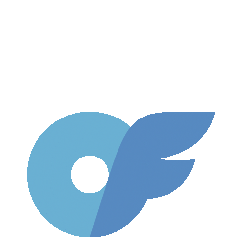 OnlyFans Followers
