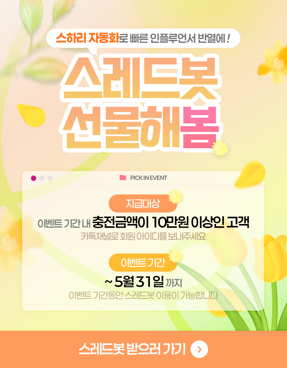 팝업