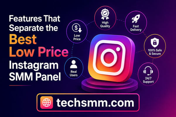 Instagram SMM Panel Features