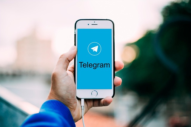 Telegram SMM Panel