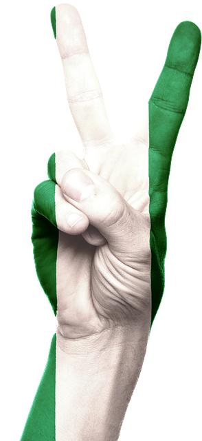 nigeria logo on hand