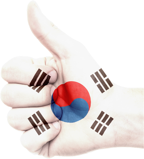 korea logo on like hand