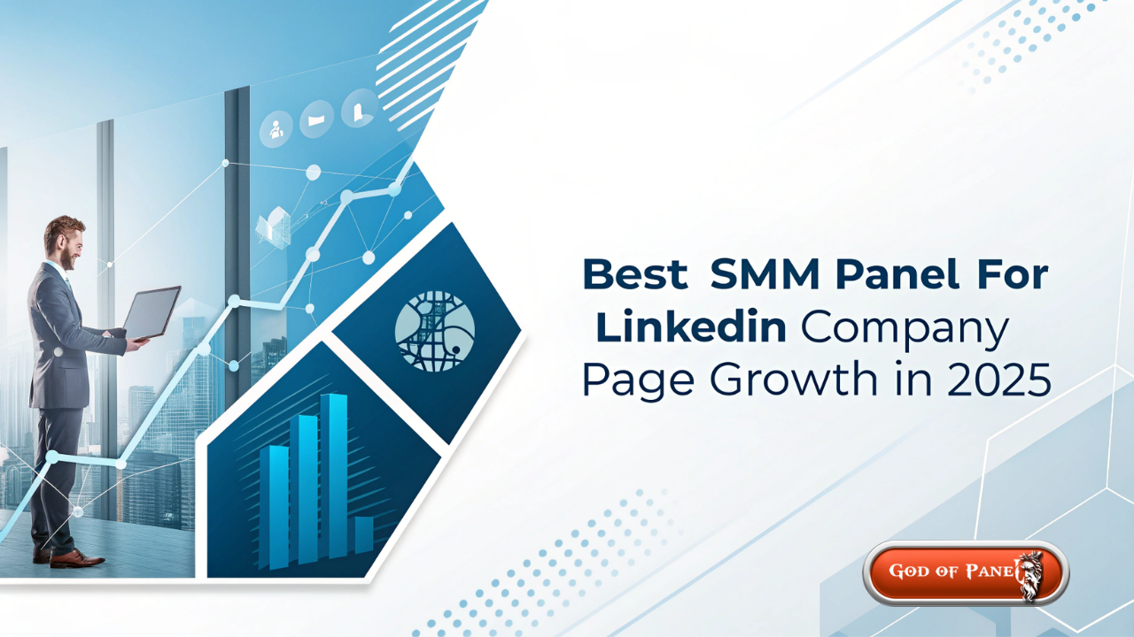 2025年最佳LinkedIn公司页面增长SMM面板