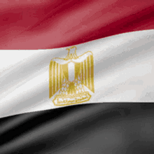 Egyptian services & Arab