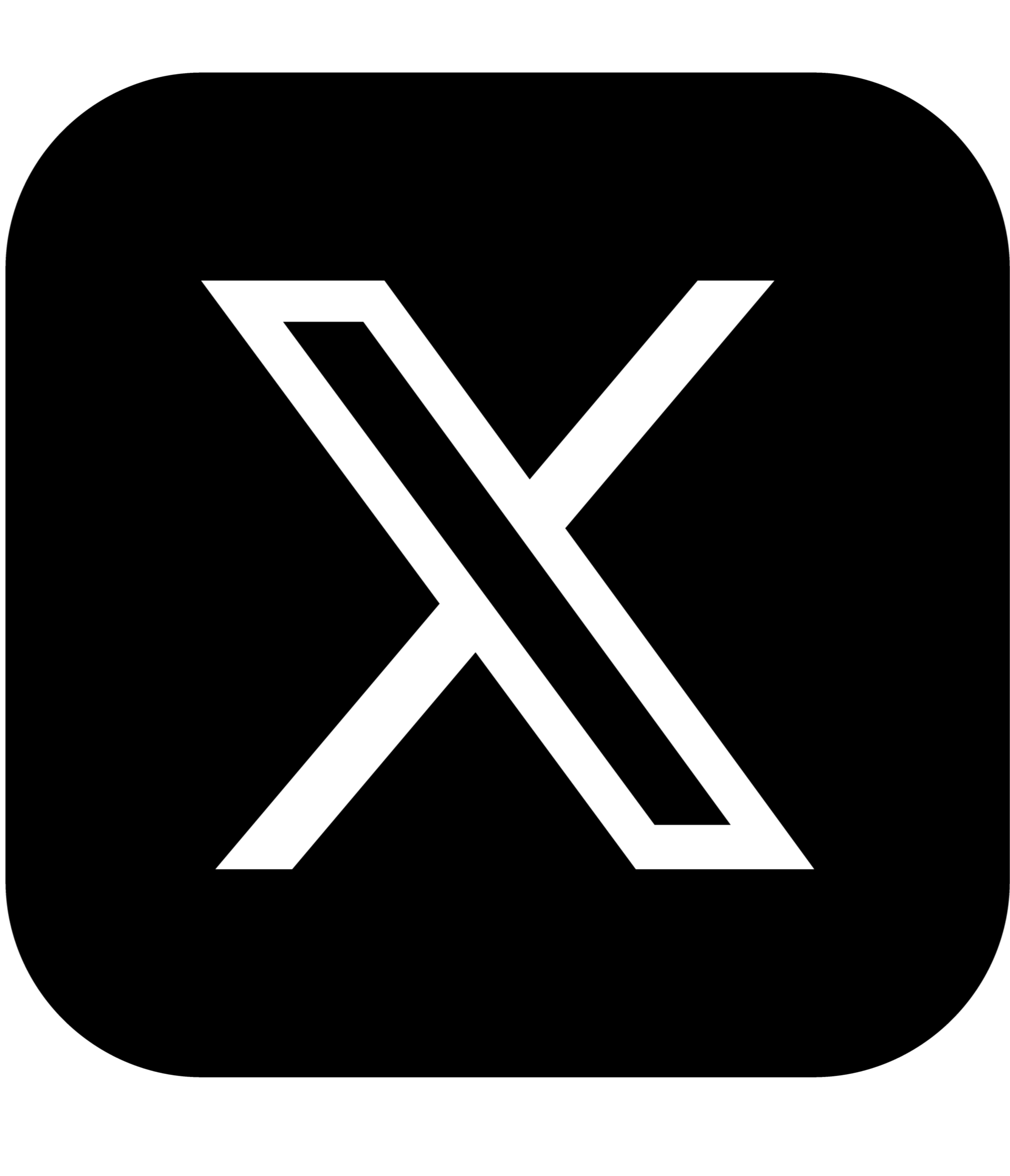 X - Twitter Followers