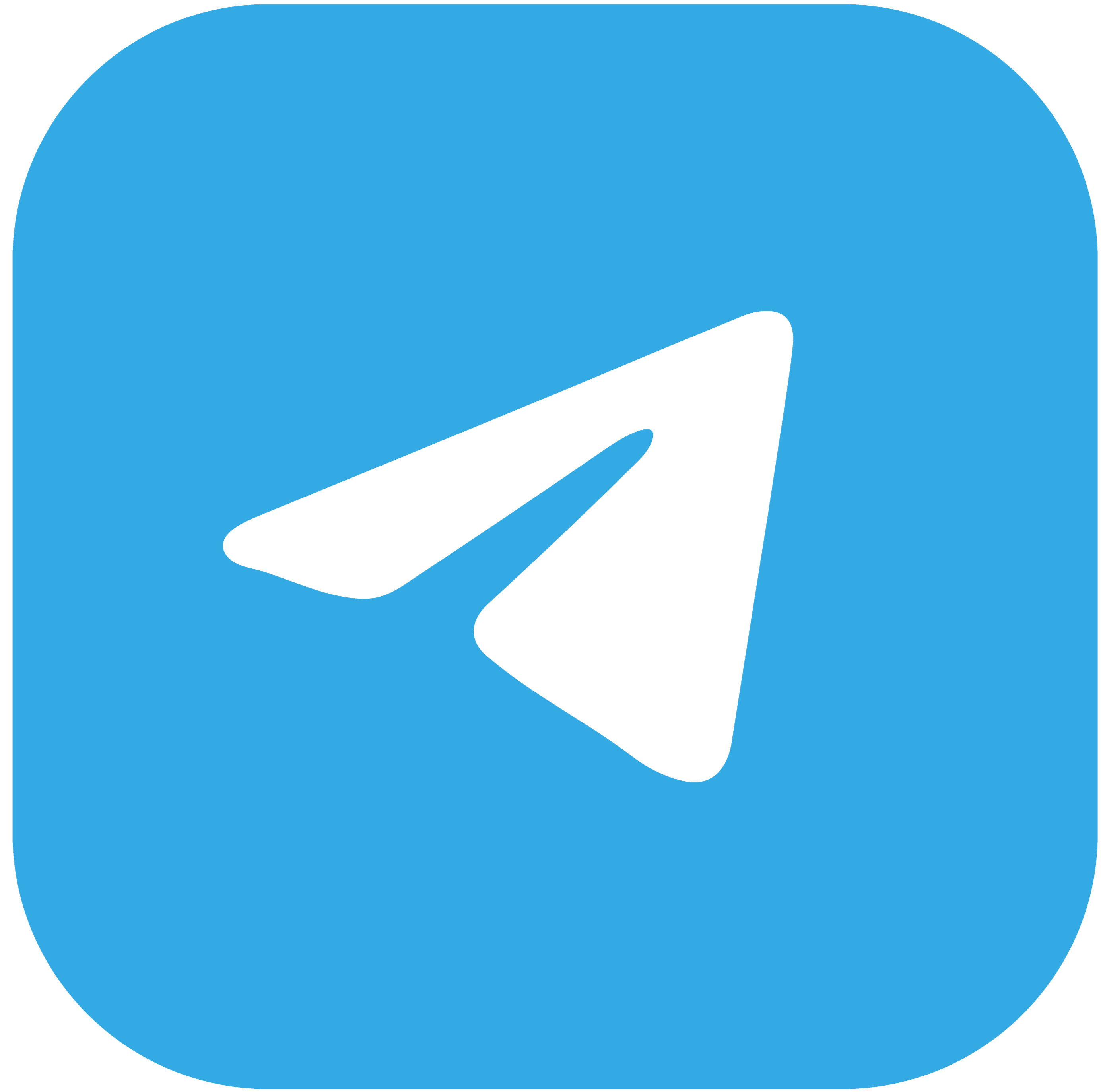 Telegram Members