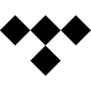 Tidal (潮汐音乐平台)