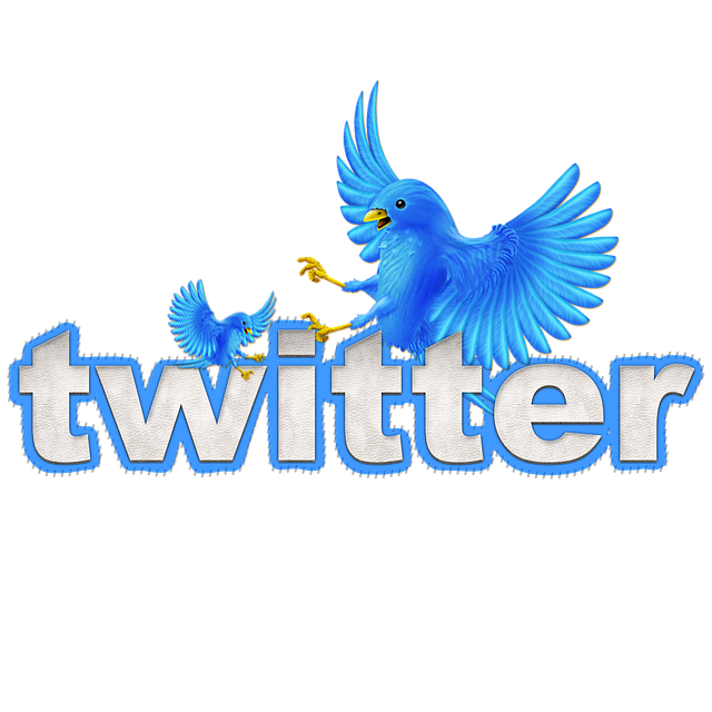 Buy Twitter Followers