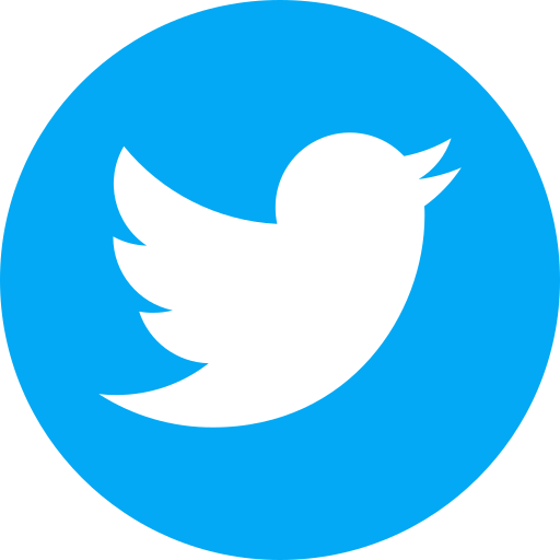 Twitter Followers [Foreign Accounts]