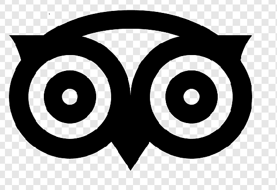 TripAdvisor - Reviews