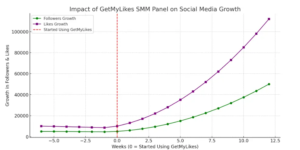 What is Social media marketing with SMM Panel