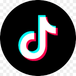 TikTok views