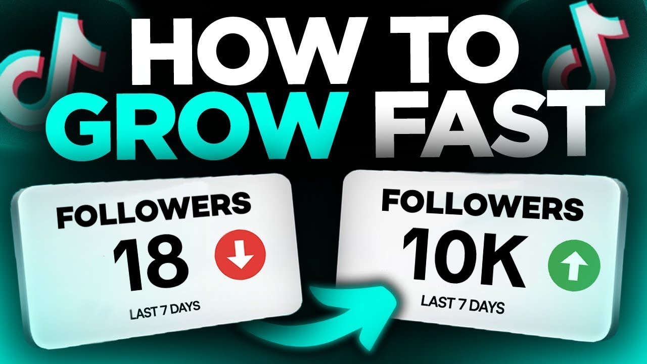 TikTok Cheap Followers - Bulk Followers and the Cheapest TikTok Services Panel