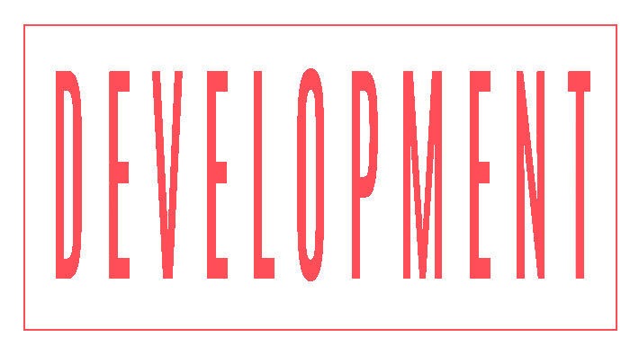 website development