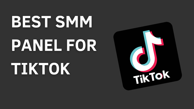 TikTok SMM Panel