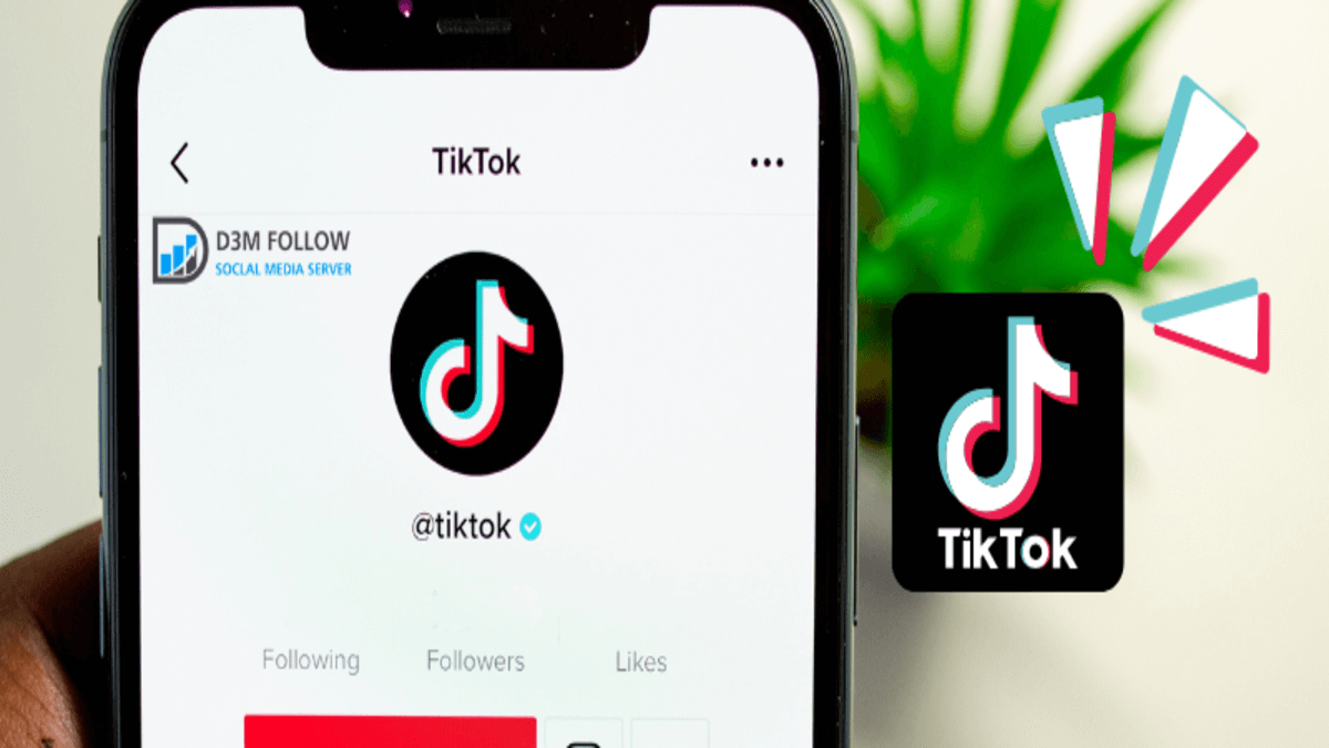 طريقة شراء متابعين تيك توك TikTok من أفضل موقع بأقل من 1 دولار