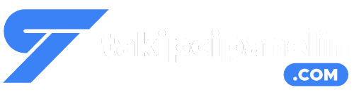 takipcipanelin.com