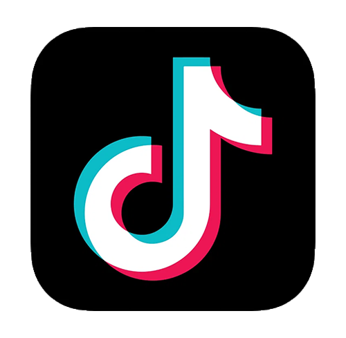 TikTok Views