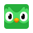 اشتراك Super Duolingo لمدة 12 شهرًا