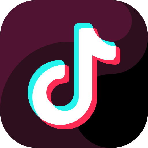 TikTok followers