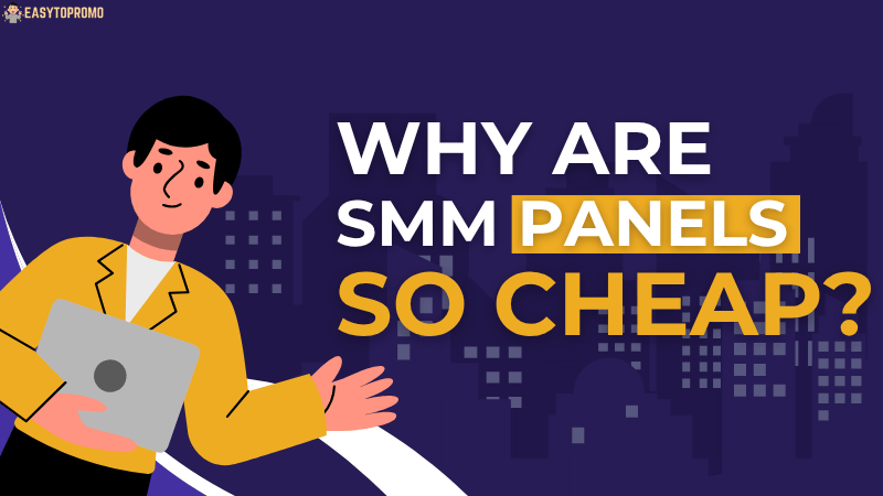 Why Are SMM Panels So Cheap? The Wholesale Pricing Model Explained