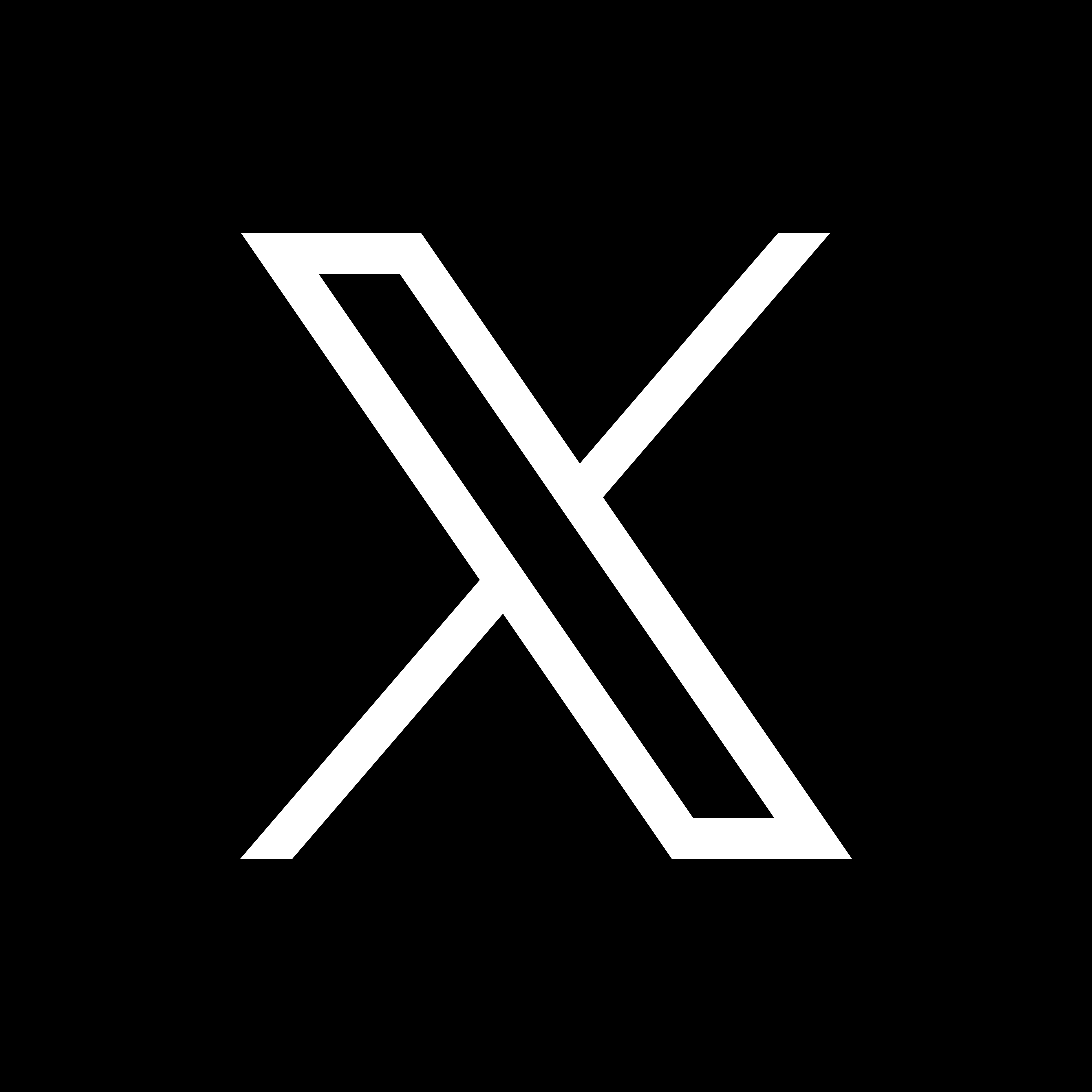 Twitter[X] Services