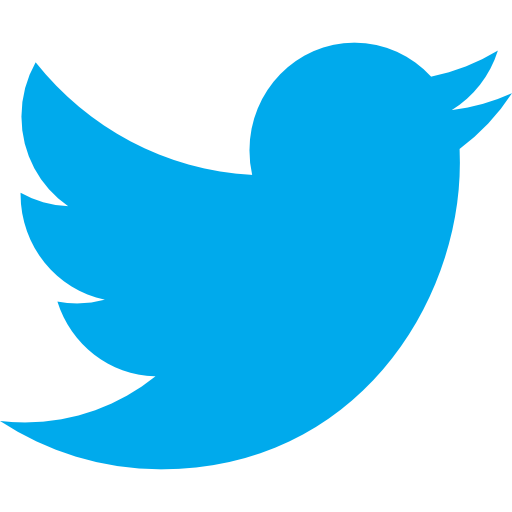 Twitter (X) - Followers [𝐆𝐔𝐀𝐑𝐀𝐍𝐓𝐄𝐄]