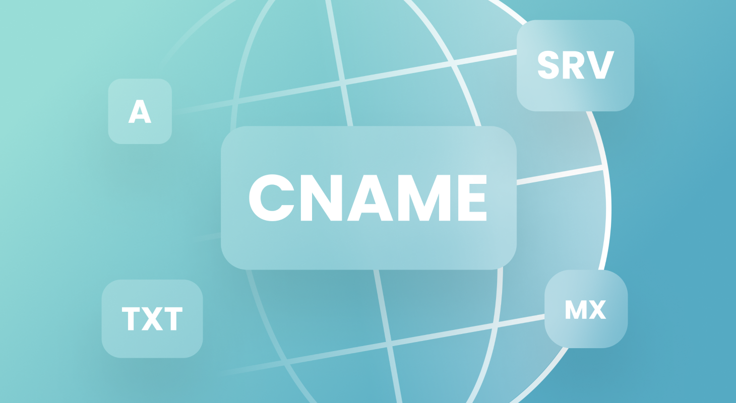 What are DNS records and how to manage them in Perfect Panel