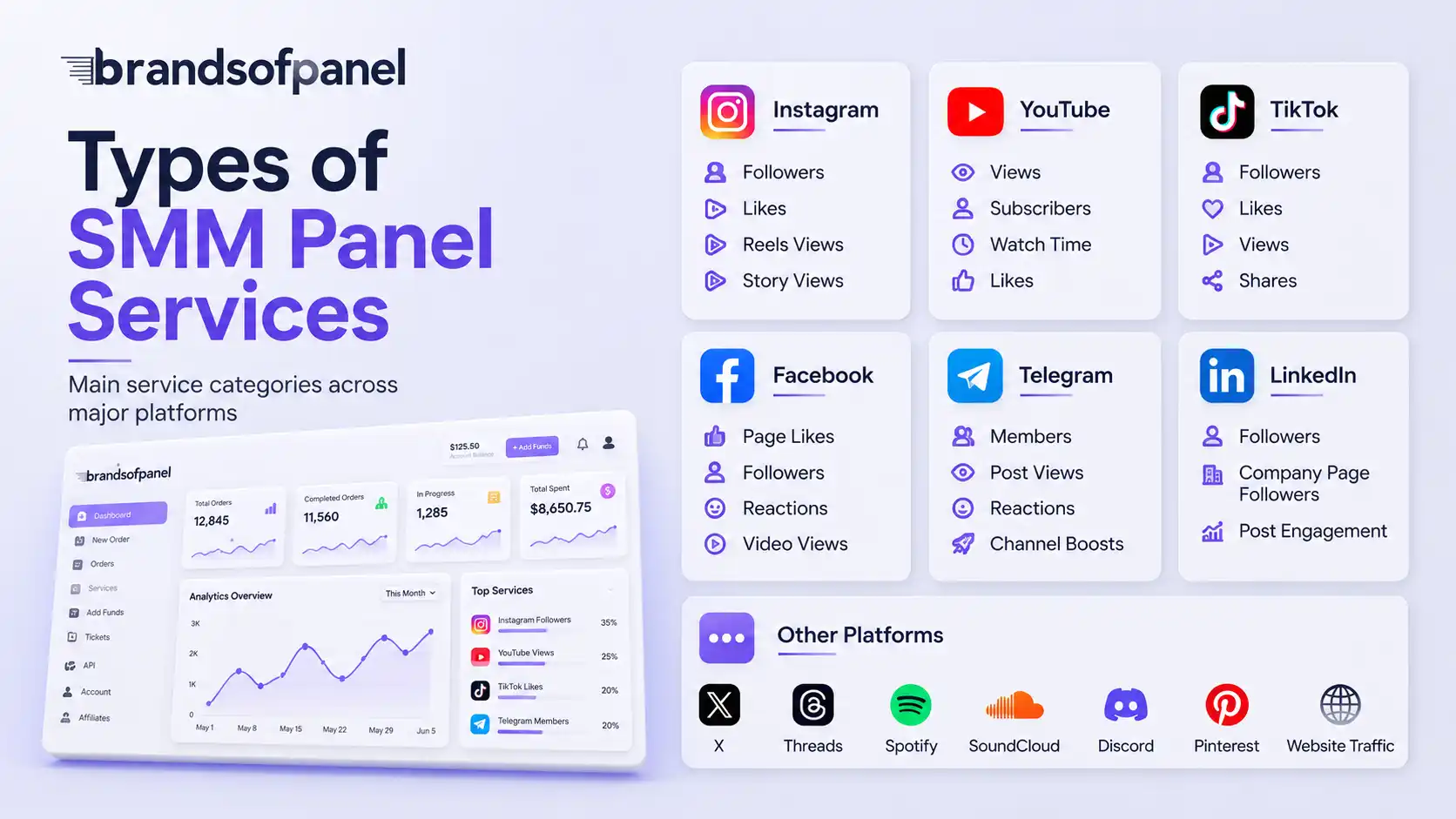 Types of Social Media Marketing Panel Services