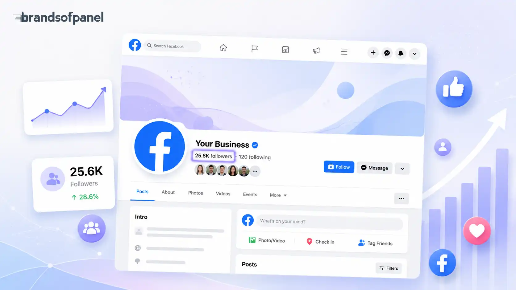 Facebook Page Followers