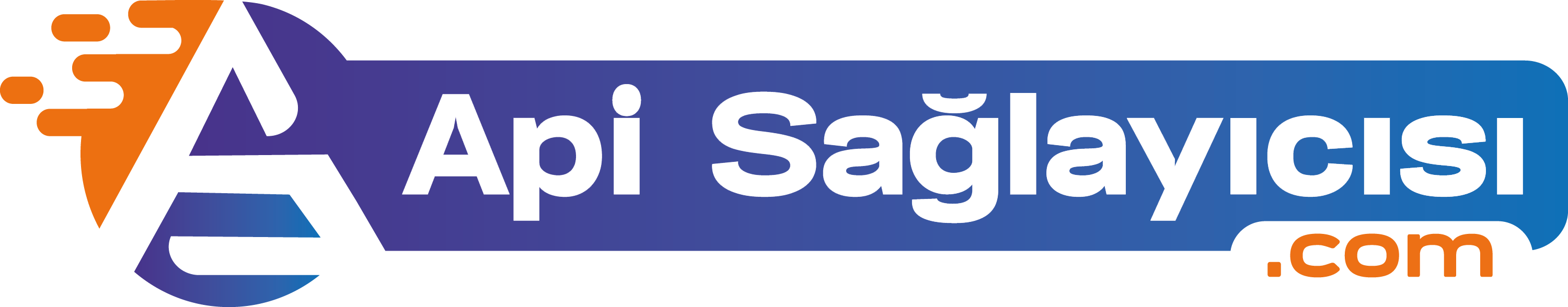 apisaglayicisi.com