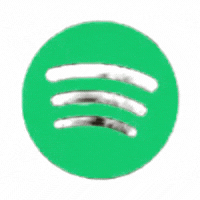 🟢 Spotify → Türk Sağlayıcı Servisler ( İnternetteki En Ucuz Spotify Servisleri )