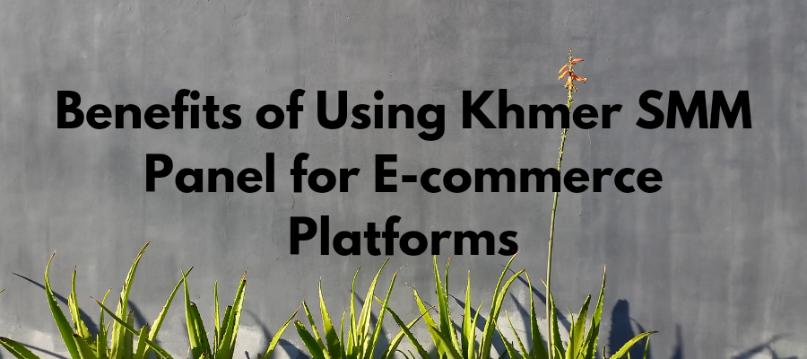 Benefits of Using Khmer SMM Panel for E-commerce Platforms