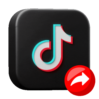 TikTok Shares [PROVIDER]