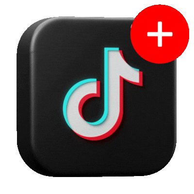 Tiktok Followers [PROVIDER]