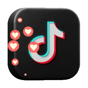 TikTok Comment Likes [PROVIDER]