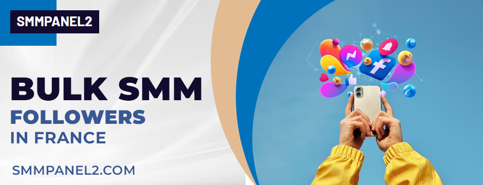SMM followers in France