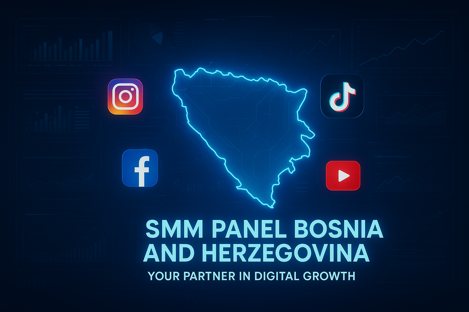 SMM panel Bosnia and Herzegovina