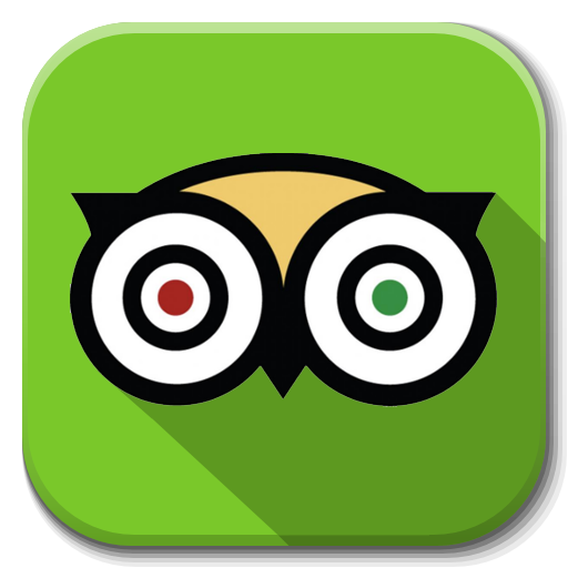 TripAdvisor Reviews